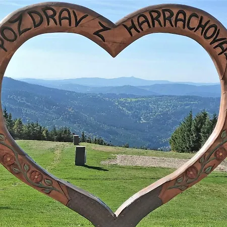 Apartment Enjoy Harrachov 20 *